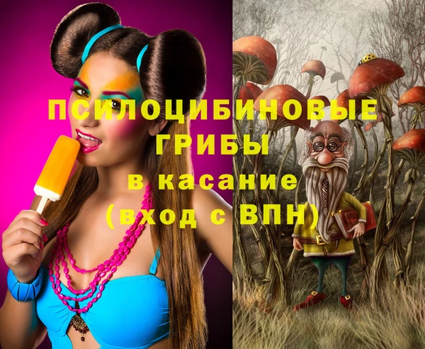 сатива Алексеевка