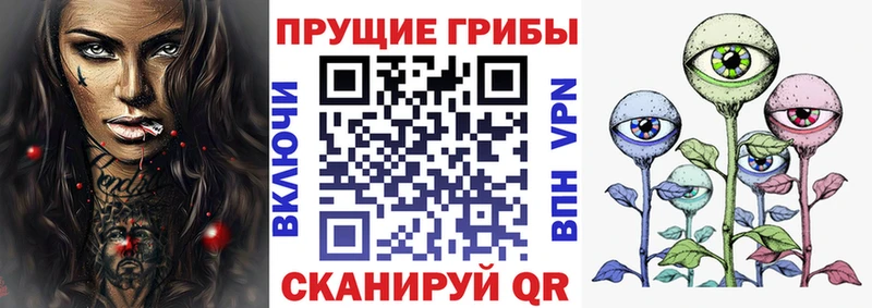 Купить где  Салават  Галлюциногенные грибы GOLDEN TEACHER 